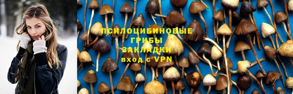 ALPHA-PVP Осинники