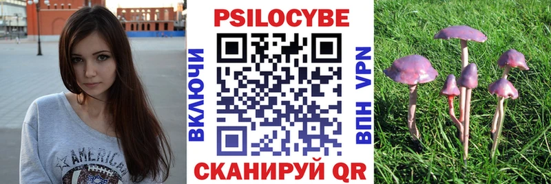 Галлюциногенные грибы ЛСД  где найти наркотики  Катайск 